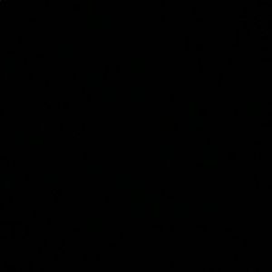 Meet your Posher, Kylie